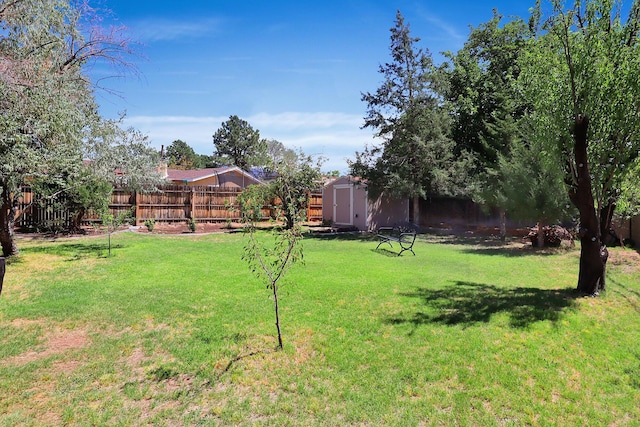 view of yard featuring a shed