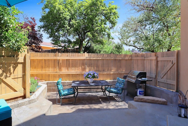 view of patio / terrace with a grill