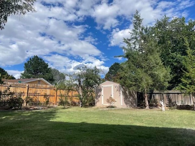 view of yard with a storage shed