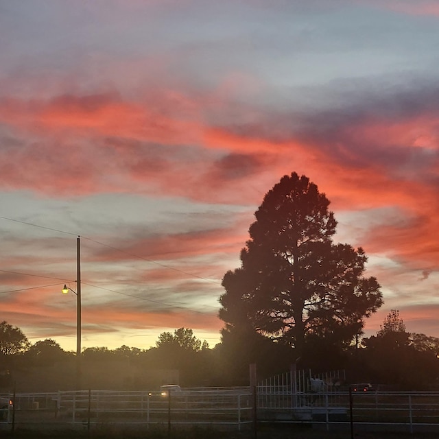 view of nature at dusk