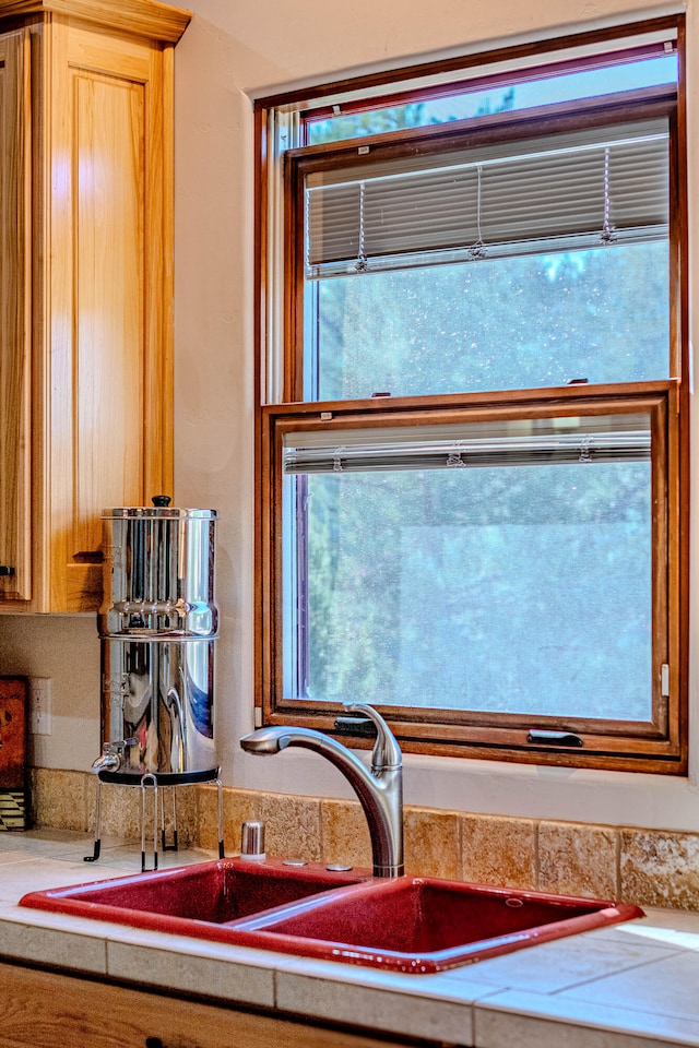 interior details featuring sink