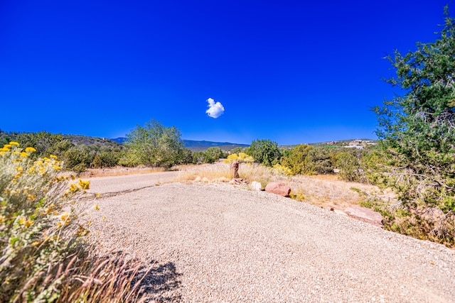 view of yard featuring a mountain view