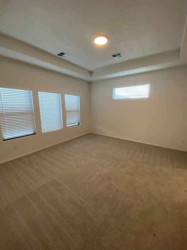 carpeted empty room with a raised ceiling