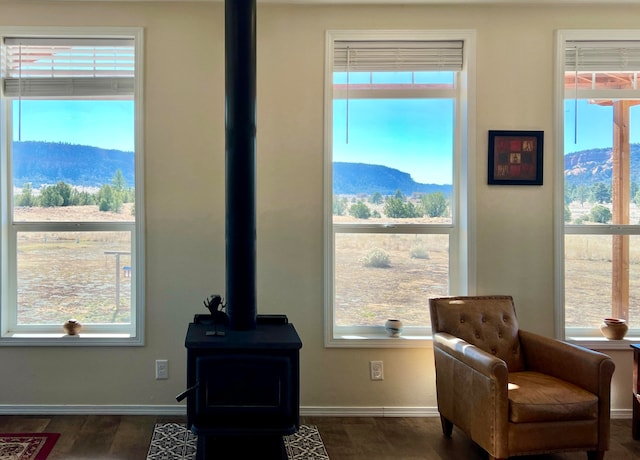 sitting room with a mountain view, a wood stove, and a wealth of natural light