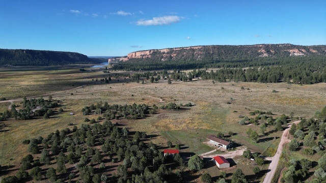 mountain view featuring a rural view