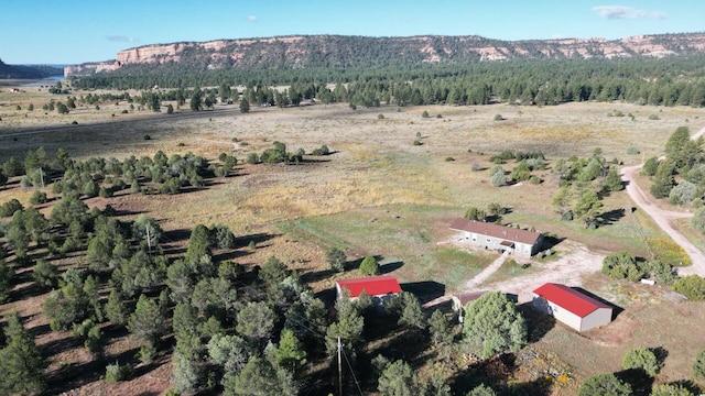 drone / aerial view with a rural view