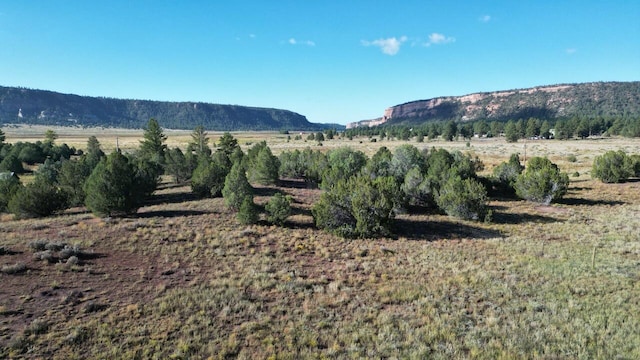 view of mountain feature with a rural view