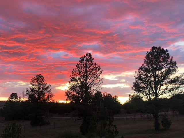 view of nature at dusk