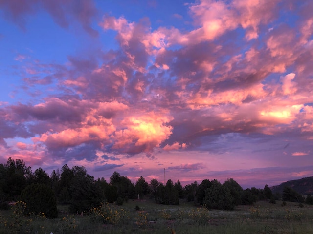 view of nature at dusk