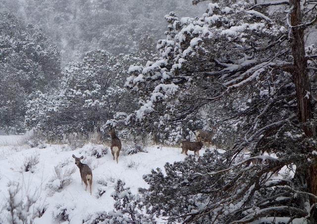 view of snowy view