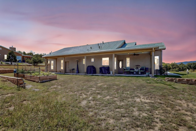 back of house at dusk with metal roof, a lawn, a vegetable garden, stucco siding, and a patio area