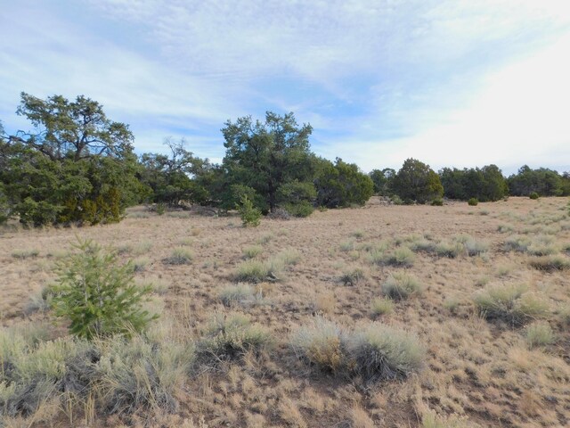 LOT123 Brook Blvd, Quemado, NM 87829