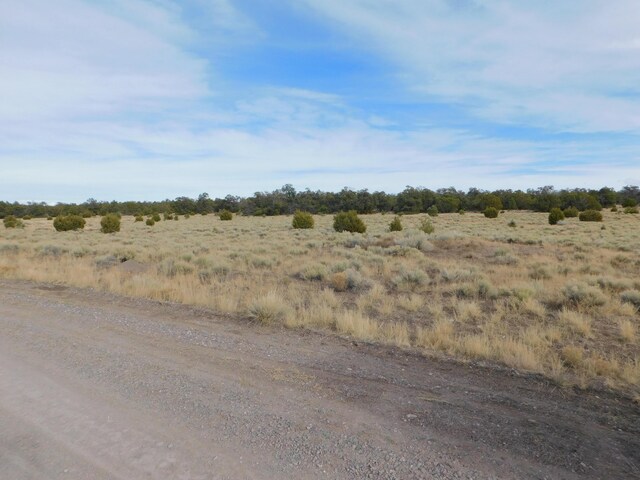 LOT123 Brook Blvd, Quemado, NM 87829