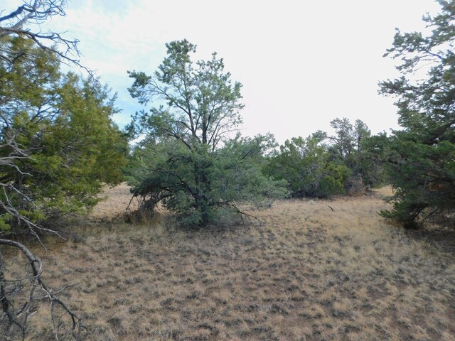 LOT123 Brook Blvd, Quemado, NM 87829