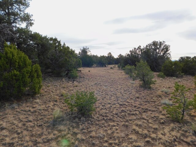 LOT123 Brook Blvd, Quemado, NM 87829