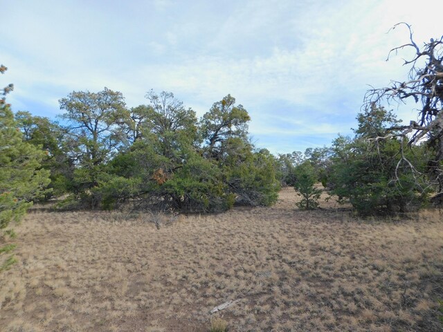LOT123 Brook Blvd, Quemado, NM 87829