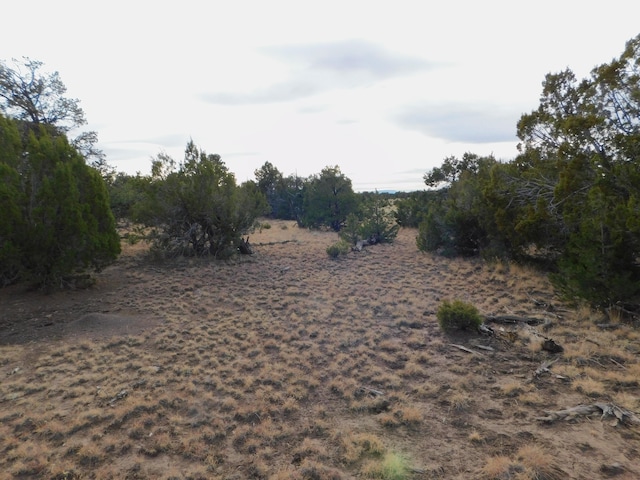 LOT123 Brook Blvd, Quemado, NM 87829