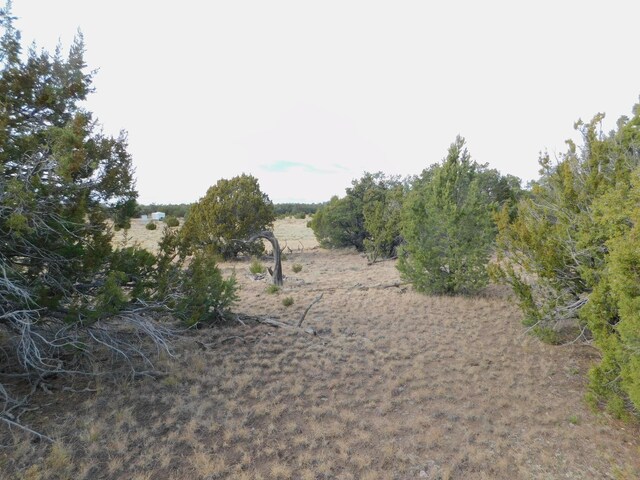LOT123 Brook Blvd, Quemado, NM 87829