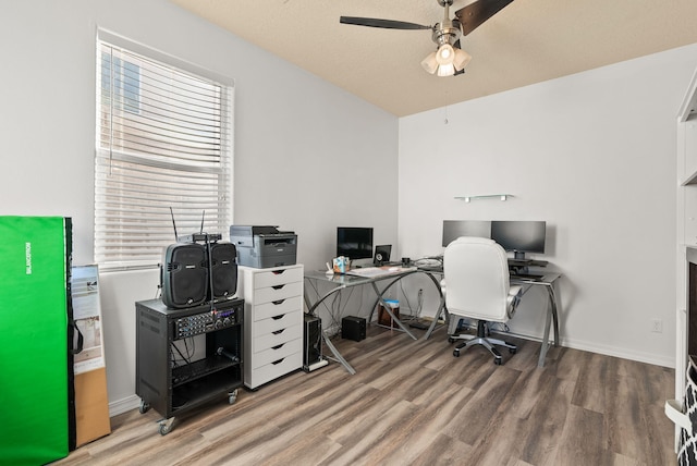 office space with hardwood / wood-style flooring, ceiling fan, and a textured ceiling