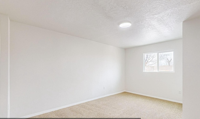 spare room with carpet flooring and a textured ceiling