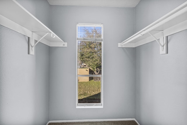 spacious closet featuring carpet floors