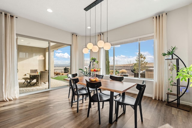 dining space with hardwood / wood-style floors