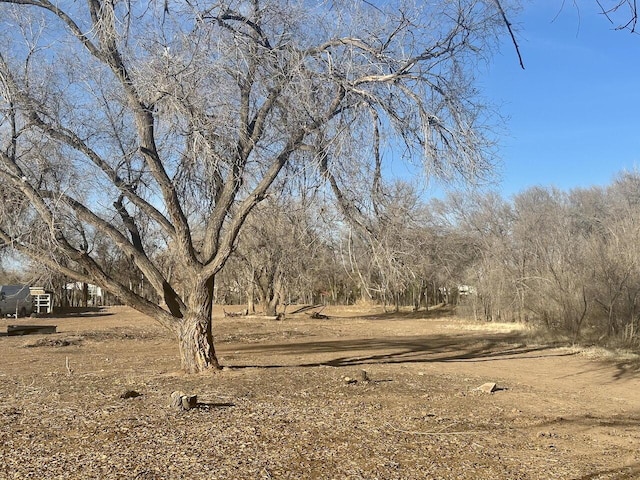 3227 Duranes Rd NW, Albuquerque, NM 87104 - photo 7