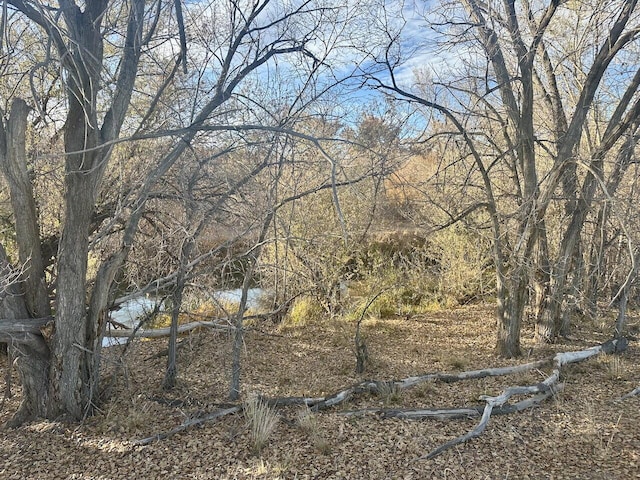 3227 Duranes Rd NW, Albuquerque, NM 87104 - photo 19