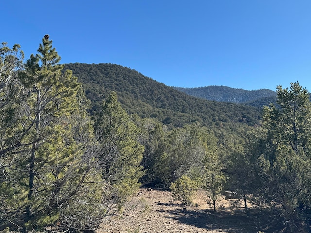 TRACT4 Verde Rd, Taos NM, 87571 land for sale