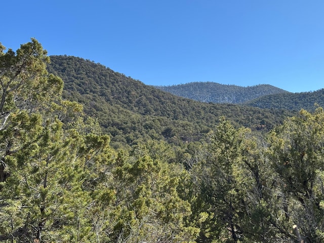 Listing photo 3 for TRACT4 Verde Rd, Taos NM 87571