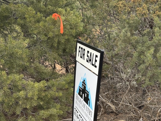 TRACT4 Verde Rd, Taos, NM 87571