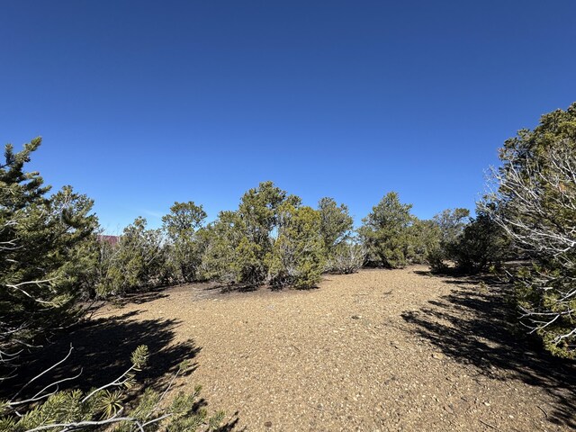 TRACT4 Verde Rd, Taos, NM 87571