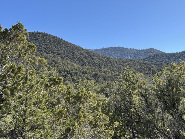 TRACT4 Verde Rd, Taos, NM 87571