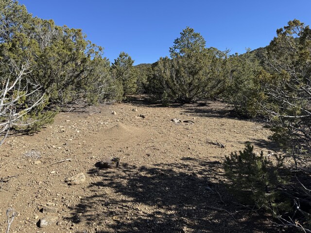 TRACT4 Verde Rd, Taos, NM 87571