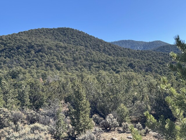 TRACT4 Verde Rd, Taos, NM 87571