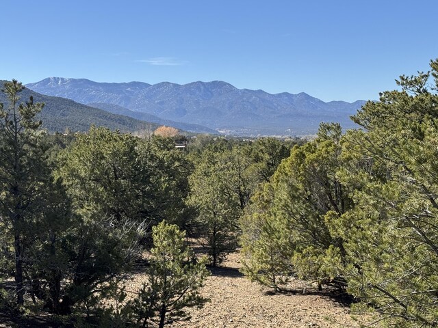 TRACT4 Verde Rd, Taos, NM 87571