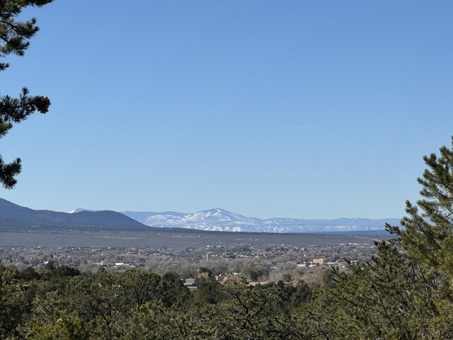 TRACT4 Verde Rd, Taos, NM 87571