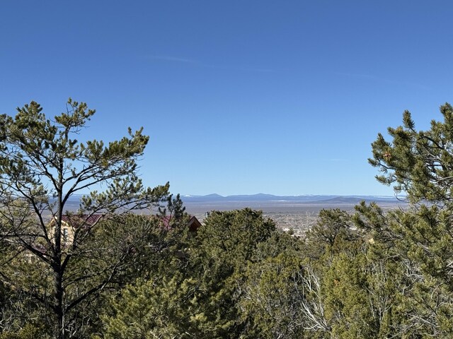TRACT4 Verde Rd, Taos, NM 87571