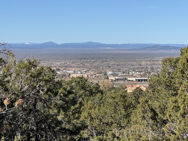 TRACT4 Verde Rd, Taos, NM 87571