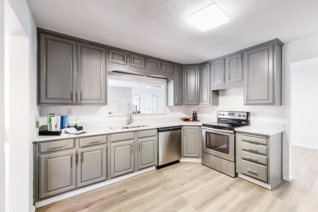 kitchen featuring light wood-type flooring, stainless steel appliances, gray cabinetry, and sink