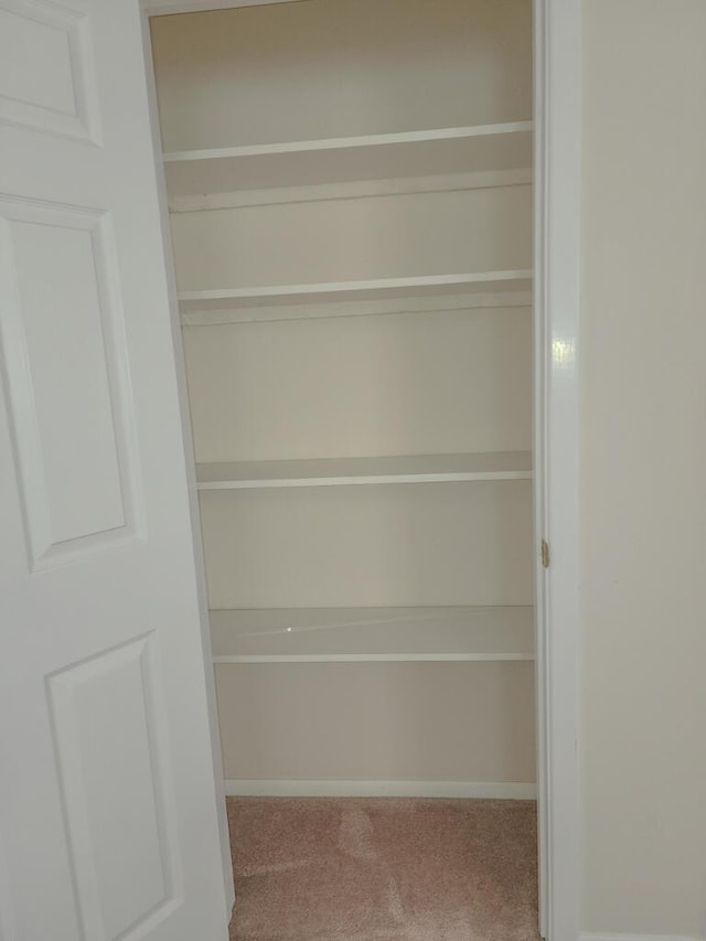 view of closet