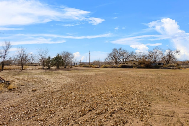 view of yard with a rural view