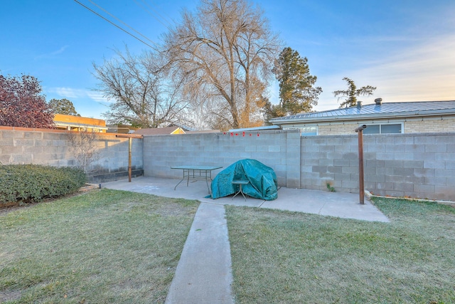 view of yard featuring a patio