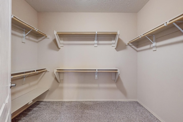 spacious closet with carpet floors