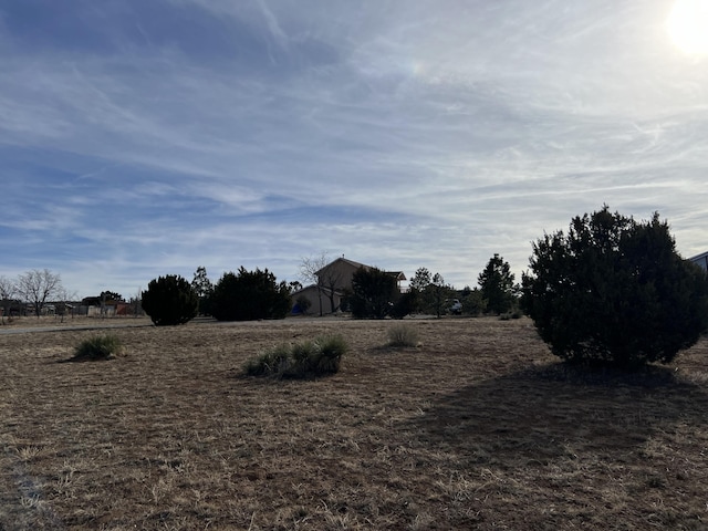 view of yard with a rural view