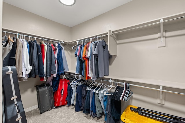 walk in closet featuring carpet floors