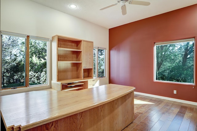 unfurnished office with wood-type flooring and ceiling fan