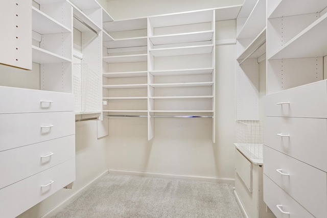 walk in closet featuring light carpet