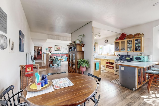 6284 State Highway 55, Mountainair, NM 87036 - dining space with light wood-type flooring and rail lighting