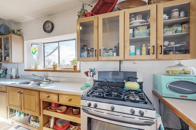 kitchen featuring sink and stainless steel gas range